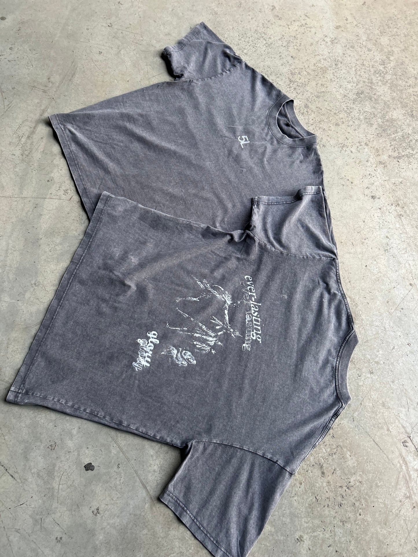 5L everlasting glory tee washed grey